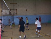 Ligue de volleyball de Montréal Séries éliminatoires de l'été 2005 