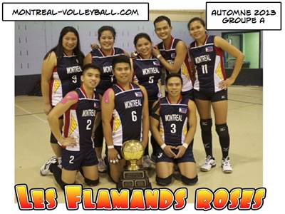 Flamands Roses Champions A automne 2013